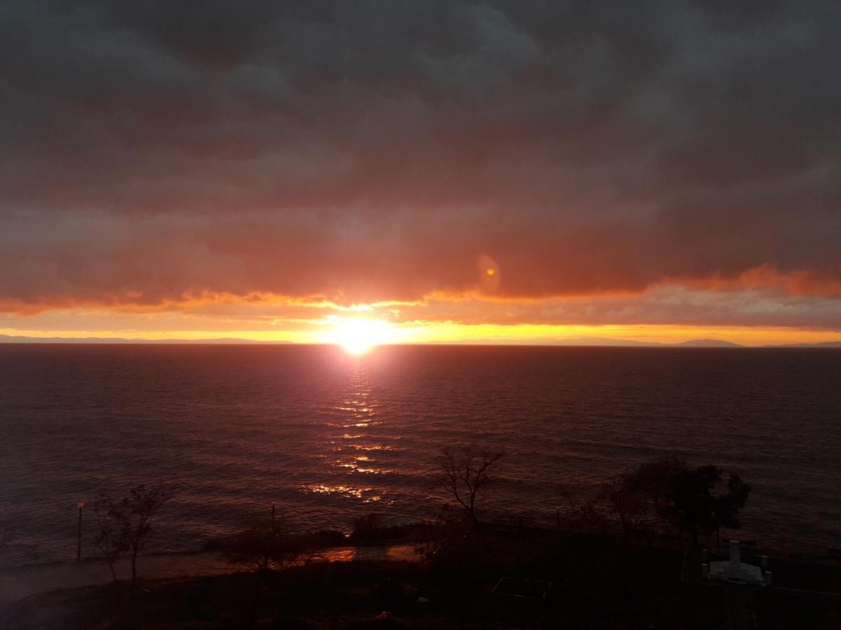 Aparthotel Sea&Park View Skála Marión Zewnętrze zdjęcie